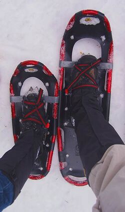 Snowshoes and bindings.jpg