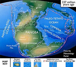 237 Ma plate tectonic reconstruction.jpg