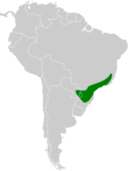 Anabacerthia amaurotis map.svg