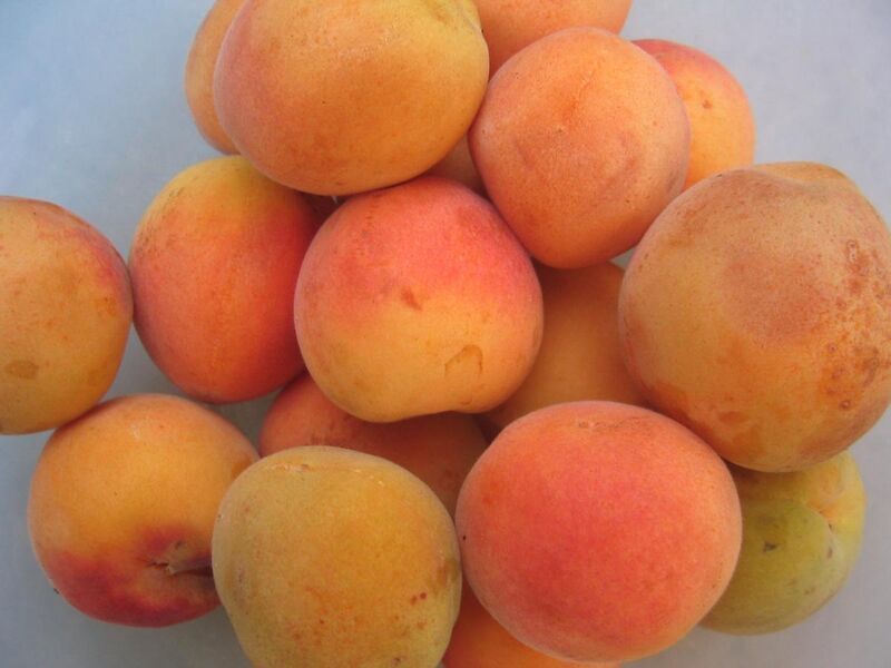 File:Apricots real.jpg