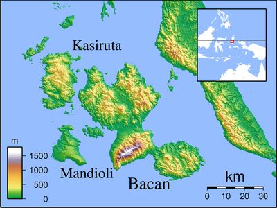 Bacan Locator Topography.png