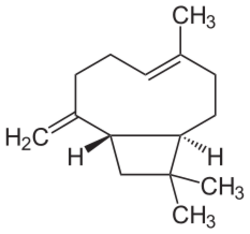 Beta-Caryophyllen.svg