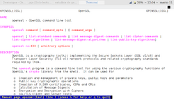 Captura de pagina de manual de OpenSSL.png
