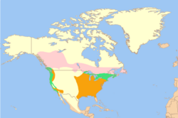 Carpodacus purpureus map.svg