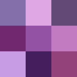 Color icon purple v2.svg