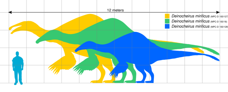 File:Deinocheirus Scale.svg