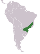 Southern Brazil no farther south than the southern tip of Paraguay