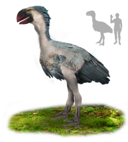 A big bird with blue-gray feathers, a white underbelly, and a large, parrot-like, red beak