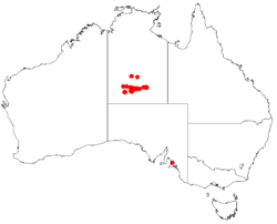 Hakea grammatophyllaDistMap58.png