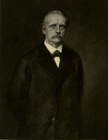 File:Helmholtz 1876.jpg