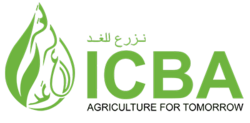 International Center for Biosaline Agriculture Logo