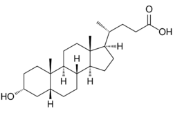 Lithocholic acid acsv.svg