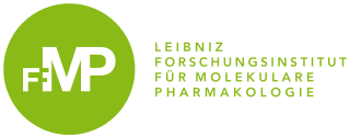 Logo of Leibniz-FMP from 2017.svg