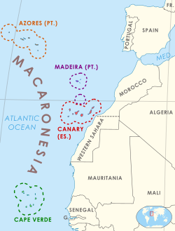 Macaronesia location.svg