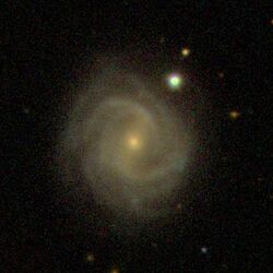 NGC 2503.jpg