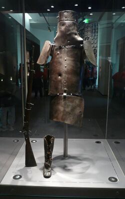 Ned kelly armour library.JPG