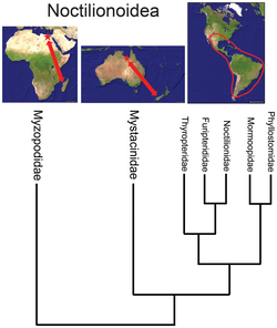 Noctilionoidea phylogeny PLoS ONE 2014-02-04.png