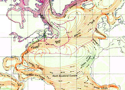 North Atlantic Gyre.png