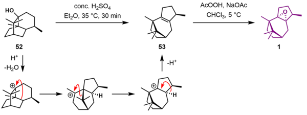 Patchoulene Oxide Synthesis J.png