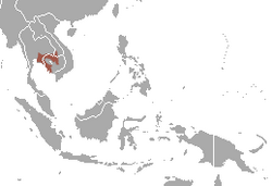 Pileated Gibbon area.png