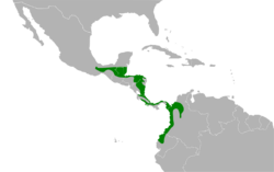 Tangara larvata map.svg
