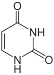 Uracil.svg