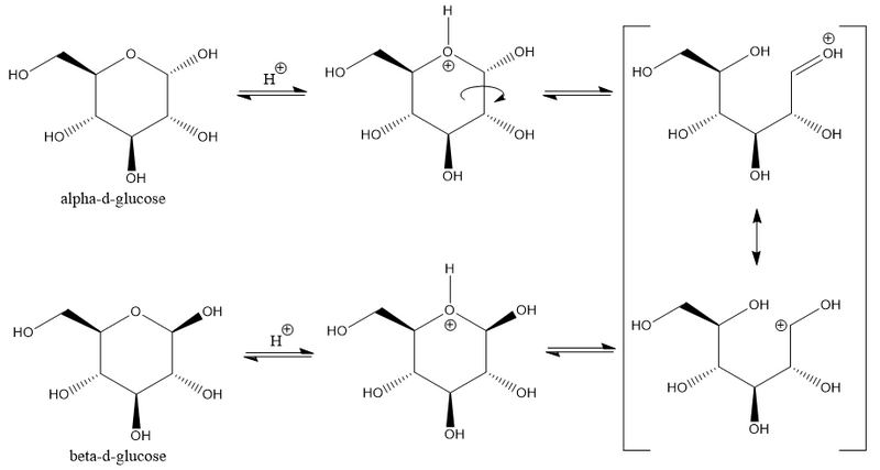 File:Α-d-glucose and β-d-glucose acid-catalyzed mechanism.png