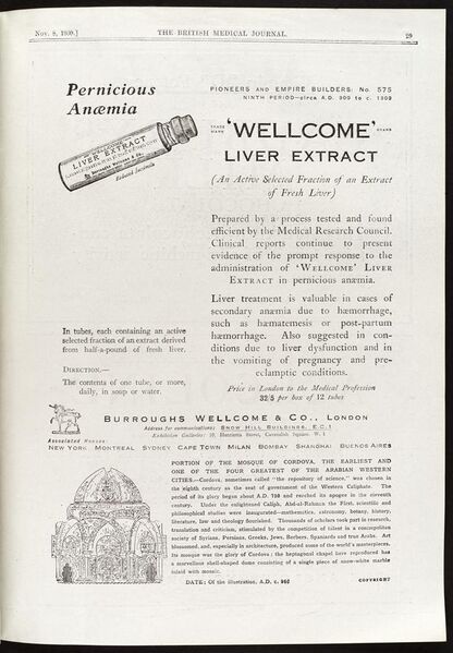File:Advert, treatment for pernicious anaemia, 1930 Wellcome L0035380.jpg