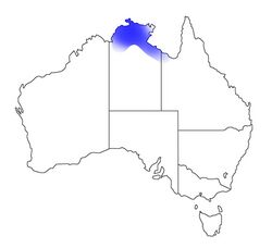 Austroplebeia magna distribution paler.jpg