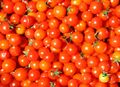 Cherry tomatoes.jpg
