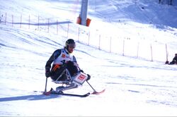 Sitting skier skiing downhill