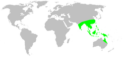 Distribution.psechridae.1.png