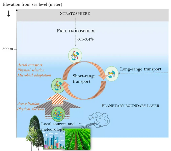File:Factors controlling microbial communities of the planetary boundary layer.webp