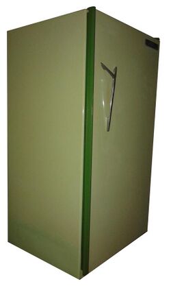 Old Sisil Refrigerator (One of the Models Released Under the Original Sisil Brand 1963-1994).jpg