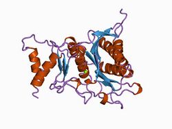 PDB 1bk4 EBI.jpg