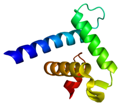 Protein CREBBP PDB 1f81.png