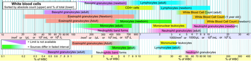 File:Reference ranges for blood tests - white blood cells.png