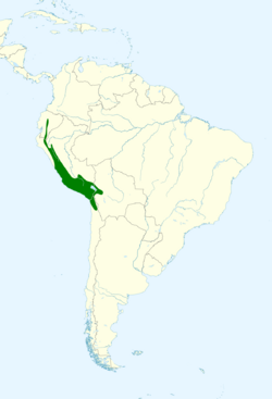 Turdus chiguanco map.svg