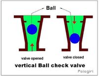 Vertical ball check valve