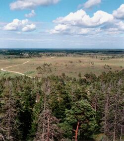 View from Torsburgen towards Katthammarsvik and the Baltic Sea.jpg