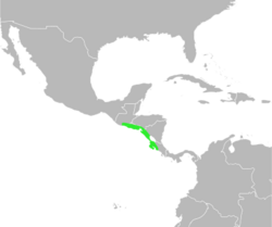 Bufo luetkeni distribution.svg