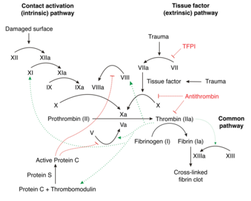 Schematic diagram of the blood coagulation (thrombin; left) and protein C (right) pathways. In the blood coagulation pathway, thrombin acts to convert factor Xi to XIa, VIII to VIIIa, V to Va, fibrinogen to fibrin. In addition, thrombin promotes platelet activation and aggregation via activation of protease-activated receptors on the cell membrane of the platelet. Thrombin also cross over into the protein C pathway by converting protein C into APC. APC in turn converts factor V into Vi, and VIIIa into VIIIi. Finally APC activates PAR-1 and EPCR.