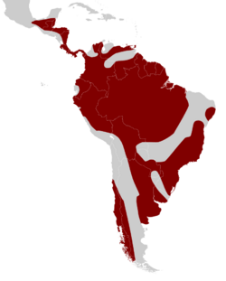 Cotingas (Cotingidae) area.svg