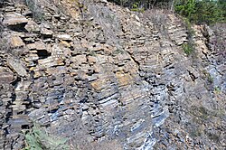 Cow Branch Formation (Upper Triassic; Pit B of Solite Quarry, near Eden, North Carolina, USA) 8 (51387281623).jpg