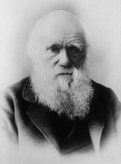 Darwin restored2.jpg