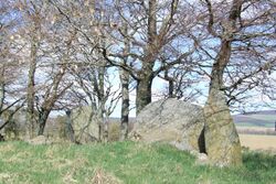 Dunnideer Remnants of Recumbent Stone Circle.JPG