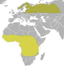 Gallinago media Map.png