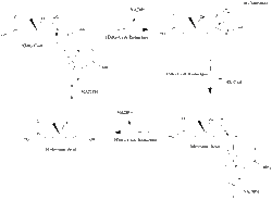 Melavonic Acid Synthesis.gif