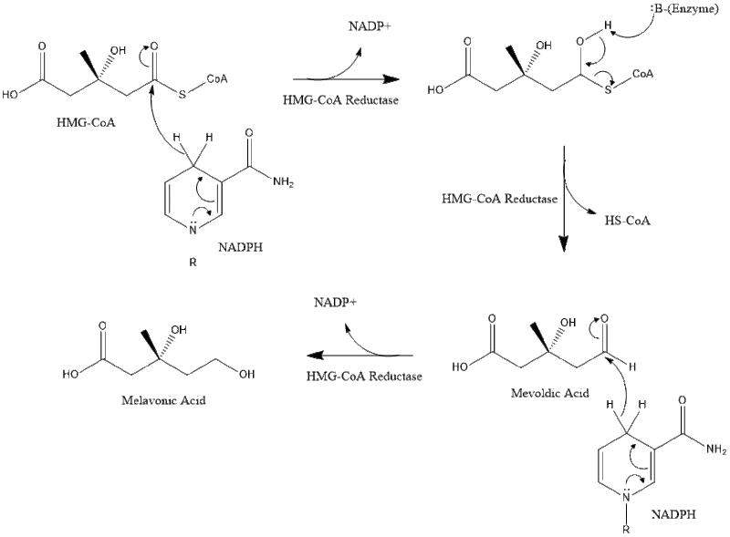 File:Melavonic Acid Synthesis.gif