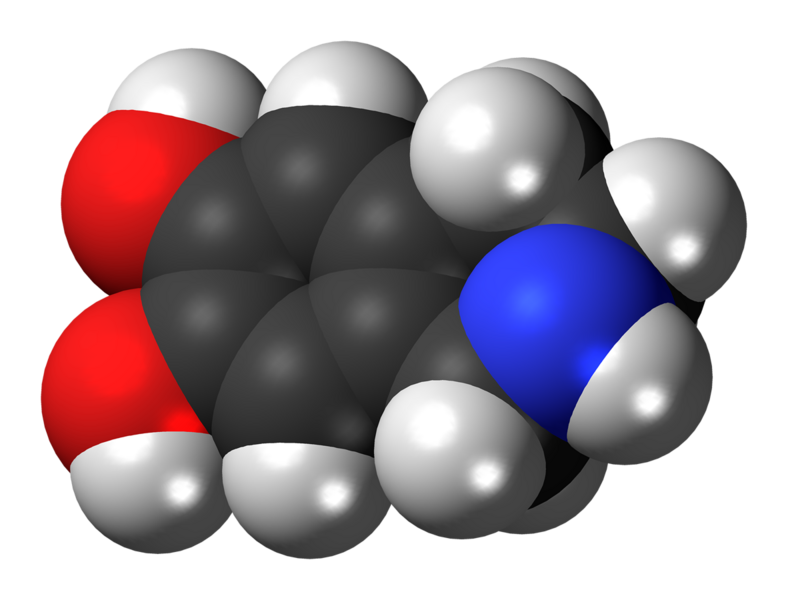 File:Norsalsolinol molecule spacefill.png